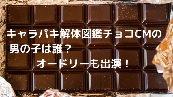 キャラパキ解体図鑑チョコ バンダイcmの男の子は誰 オードリーも出演 あんころ情報局