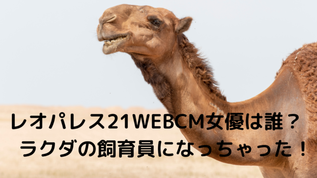 レオパレス21webcm21女優は誰 ラクダの飼育員になっちゃった あんころ情報局