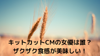 キットカットcmの女優は誰 新シリーズはザクザク食感が美味しい あんころ情報局